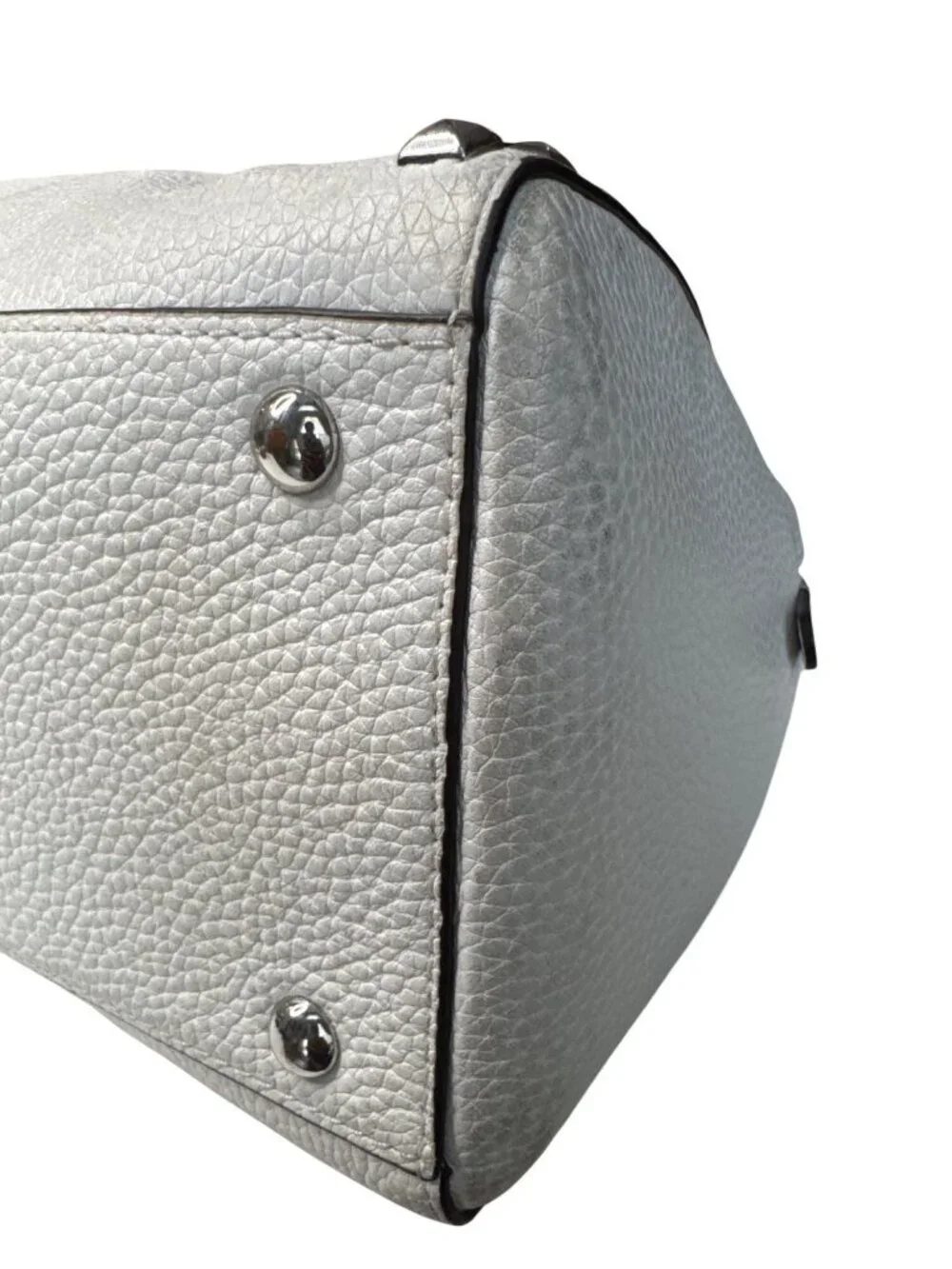Michael Kors chic companion